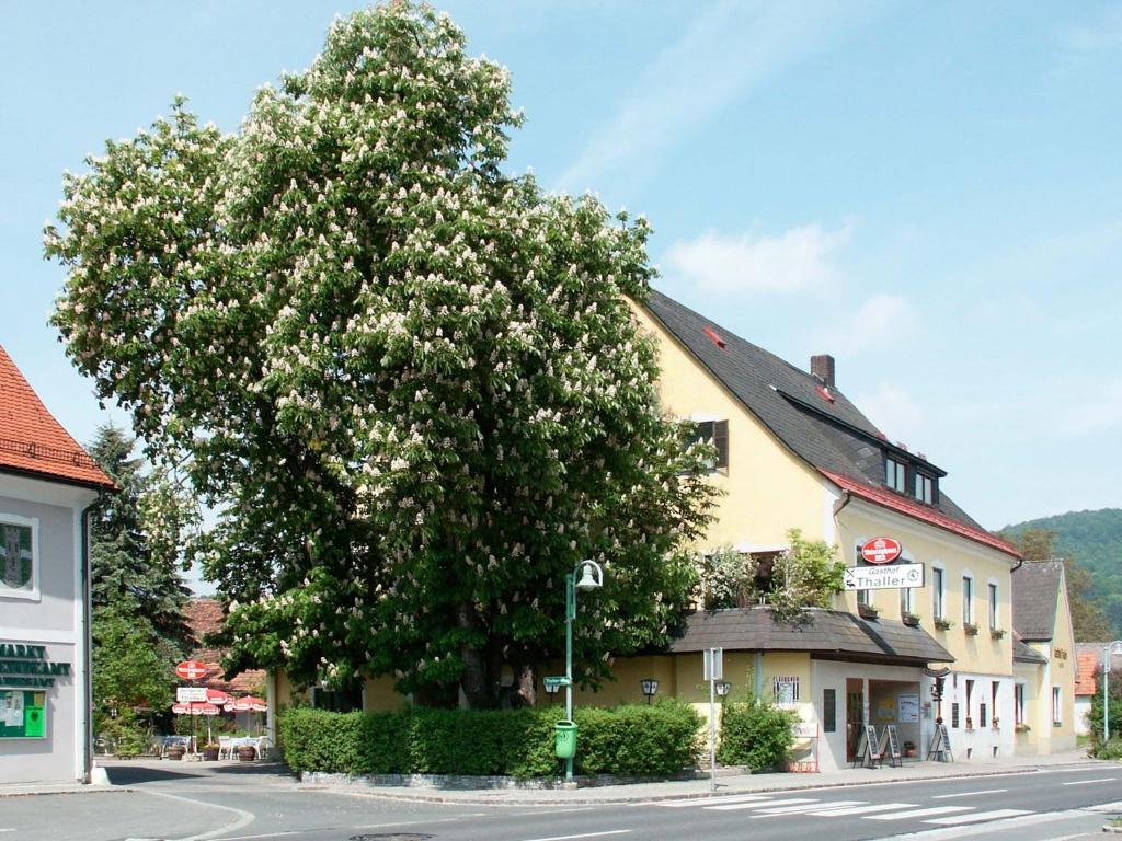 Gasthof Thaller Lebring Bagian luar foto